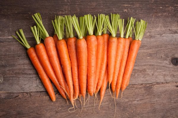 сбора моркови