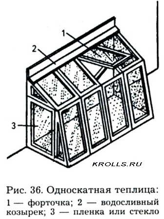 дерево