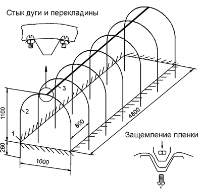 огурцов теплиц