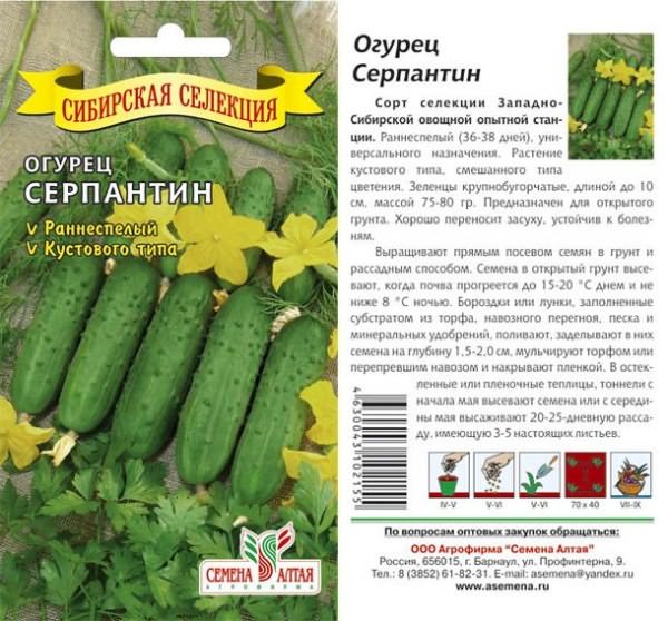 сорта огурцов