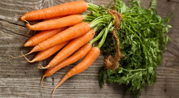 выращивания моркови