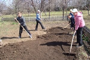 теплицу поликарбоната