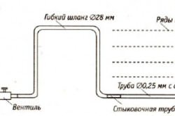 бочок