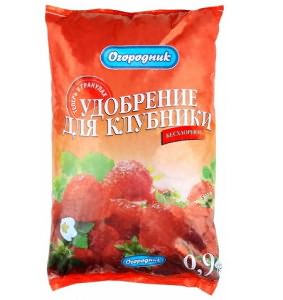 Посадка клубники