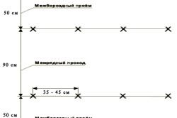 выращивания перца