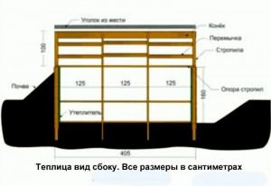 помидоров теплице