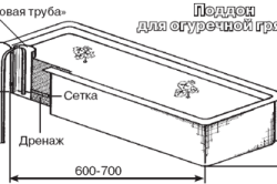 выращивания огурцов