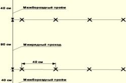 посадить