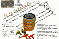 выращивать огурцы