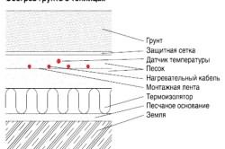 огурец