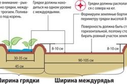 выращивания овощей