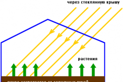 теплицы зимой