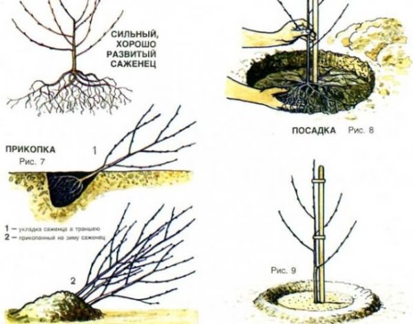 Меры борьбы