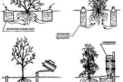 капельный полив