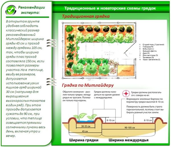 выращивание