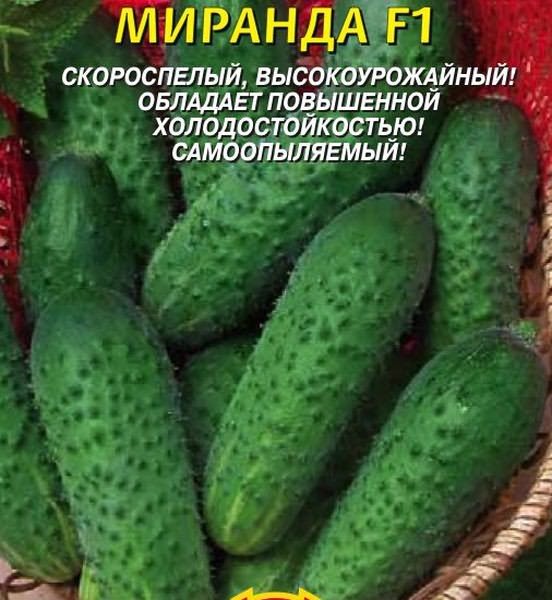 огурец