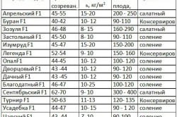 огурцов теплицы