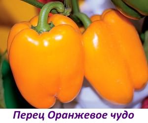 открытом грунте