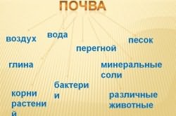 питательные вещества