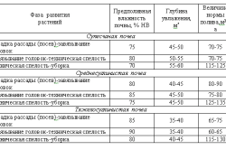 брюссельской капусты