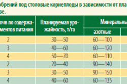 граммов Допущен