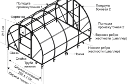 выращивания томатов