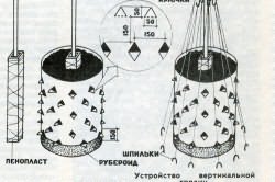 рассады огурцов