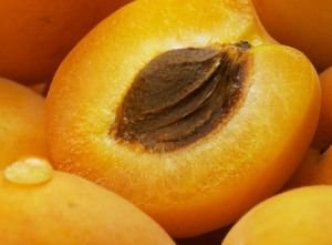 косточки абрикоса
