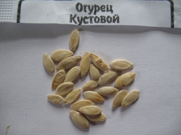 огурец