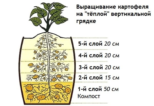 теплица