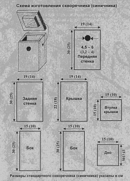 Чертеж скворечника 7 класс