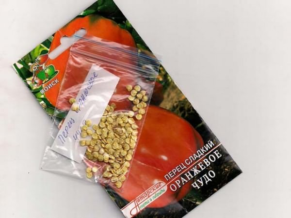 Качественные семена перцев должны иметь желтоватый оттенок.