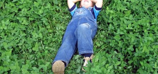 Ребенок на газоне из клевера, yandex.ru